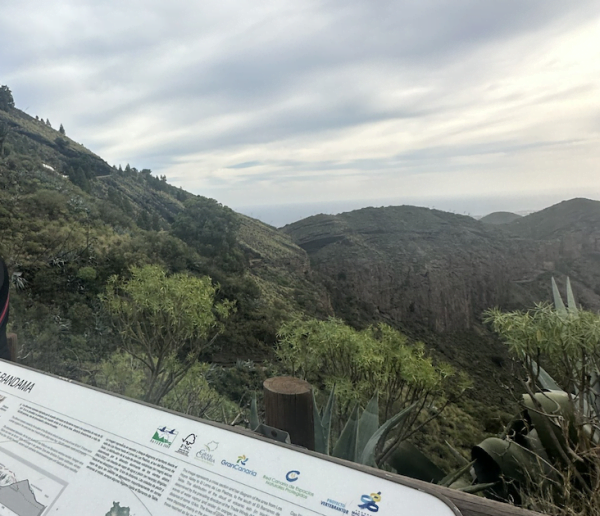 Naturbild over ett berg pa Gran Canaria.
